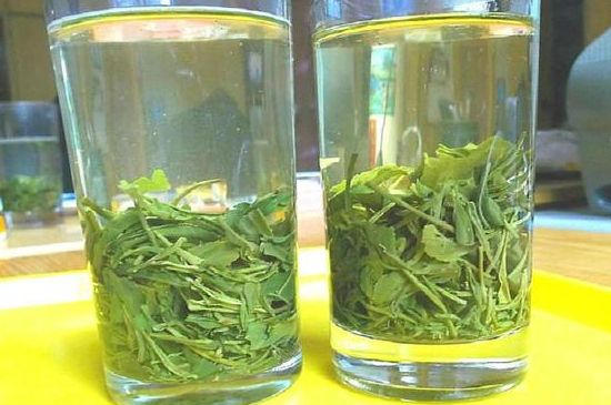 茶葉為什么不能亂送人，買茶葉一次送一盒還是兩盒