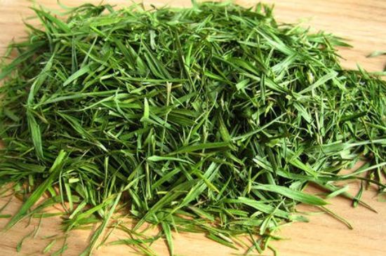 哪類人不適合喝石竹茶，石竹茶的功效與禁忌