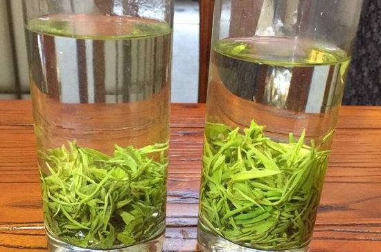 黃金茶的功效及禁忌癥，黃金茶有什么副作用嗎？