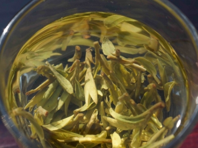 安吉白茶的功效與作用，簡單概括安吉白茶功效