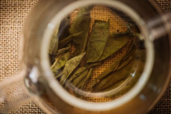 苦丁茶副作用，苦丁可以經(jīng)常喝嗎？