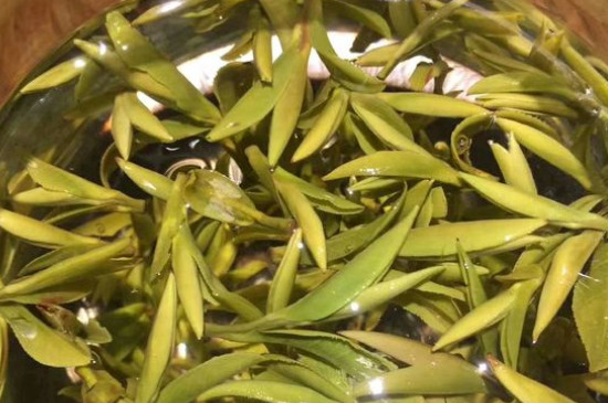 八大茶系都有哪幾種，八大茶系都是什么名字