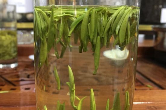雀舌茶的副作用，雀舌茶什么人不能喝？