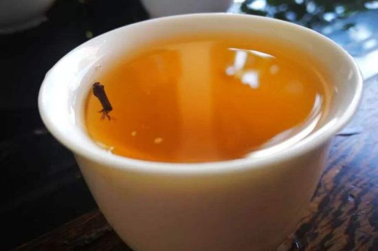 送茶葉的寓意，茶的象征意義