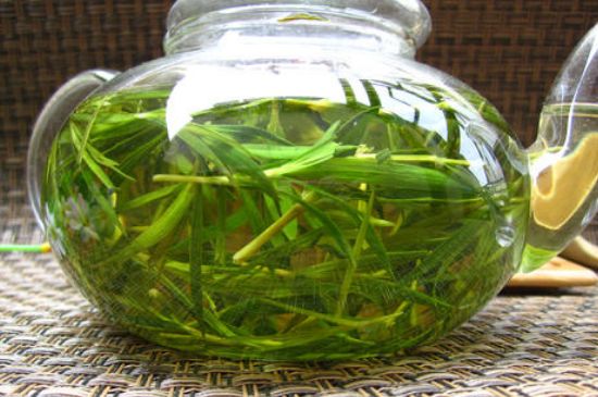 竹葉茶的禁忌，竹葉泡茶的功效禁忌