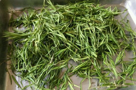 哪類人不適合喝石竹茶，石竹茶的功效與禁忌