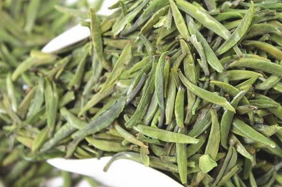 雀舌茶什么人不能喝，雀舌茶的功效與禁忌