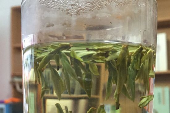 煮茶器能煮龍井嗎，龍井茶能不能用煮茶器圖