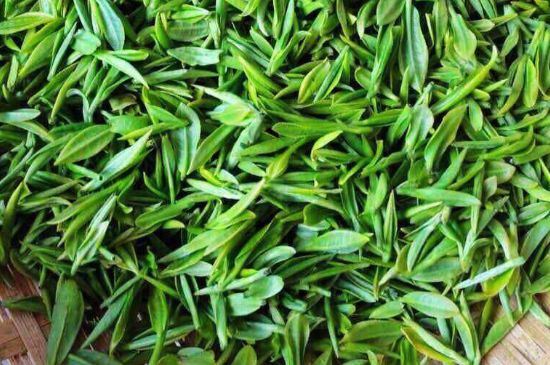 云霧綠茶的功效及禁忌，哪些人不適合喝云霧茶