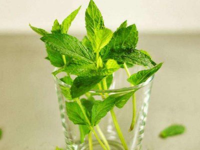 喝茶治口臭嗎，什么茶治口臭好？