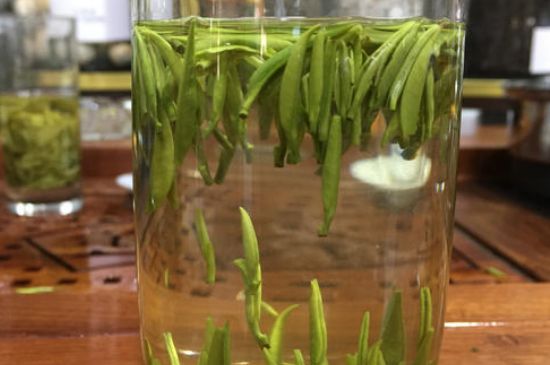 雀舌茶的沖泡方法，怎么沖泡雀舌茶？