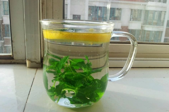 薄荷茶的功效與作用，喝薄荷茶有什么好處？