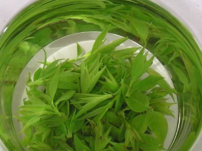 茶葉具有什么功效，茶葉的功效與作用大全