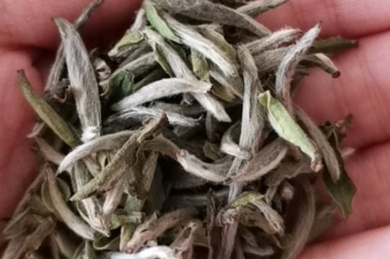 如何買茶葉不上當，怎么買茶葉不被坑？