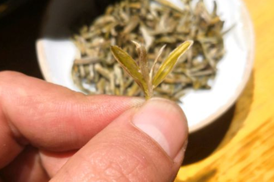六大茶類哪種適合長期存放，日常如何保存方法一覽？