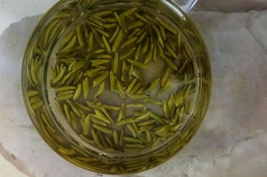 茶葉在哪里買比較好，哪里能買到好的茶葉