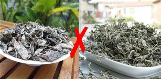 張家界茅巖莓茶與藤茶是同一種茶嗎，藤茶跟莓茶一不一樣？
