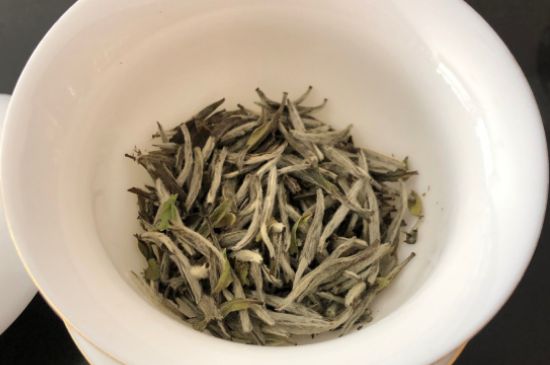春茶上市白茶的好壞怎么區(qū)分，春白茶怎么分辨好不好？