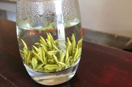 安吉白茶耐寒嗎，白茶適合放冰箱嗎