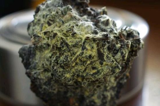 涇渭茯茶保質期多久，陜西涇渭茯茶能放幾年