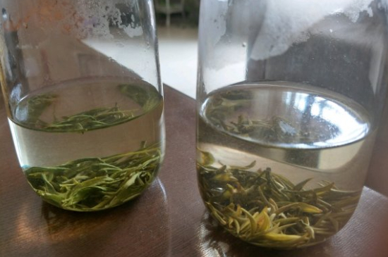 真假碧螺春泡水后區(qū)別，蘇州洞庭碧螺春怎樣鑒別好壞？