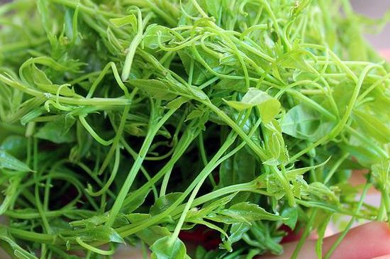 茅巖莓茶保質(zhì)期有多久，張家界莓茶存放時間長了還能喝嗎？