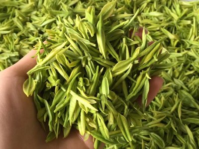 白茶品質(zhì)如何區(qū)分，白茶的優(yōu)劣質(zhì)量辨別方法