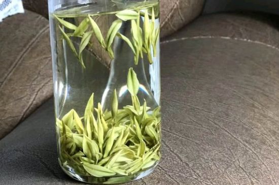 安吉白茶夏天怎么保存，安吉白茶能冷凍儲(chǔ)存嗎？