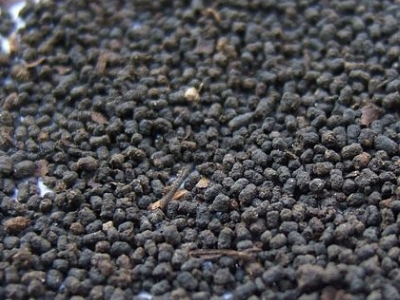 圓形顆粒狀茶是什么茶，像飼料一樣一粒粒的是什么茶？