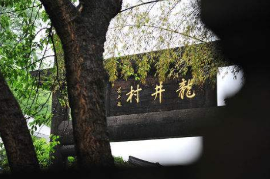 杭州買(mǎi)龍井茶攻略，怎么買(mǎi)到正宗的西湖龍井？
