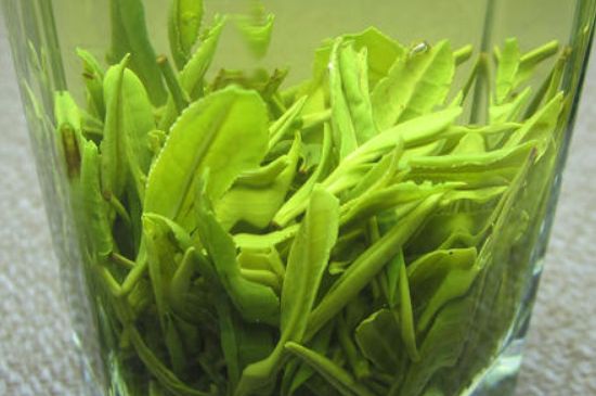 哪種茶葉可以放冰箱，哪些茶不能放冰箱？