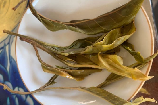 普洱茶十大學(xué)費(fèi)茶排名，吉普H是學(xué)費(fèi)茶？
