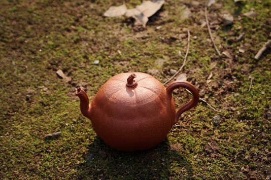 紫砂壺泡什么茶最佳，紫砂壺一般泡什么茶？