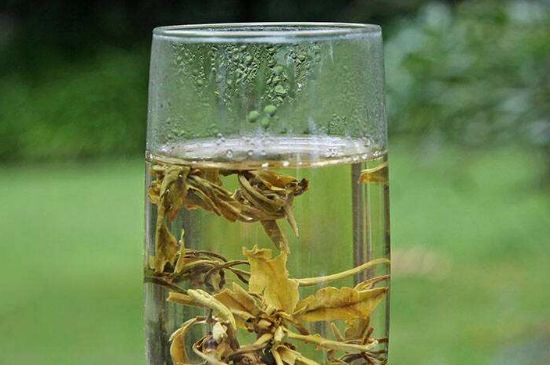 茉莉龍珠什么人不能喝，茉莉龍珠茶什么體質(zhì)不能喝？