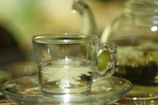 菊花茶天天喝行嗎，每天喝菊花泡茶喝好嗎？