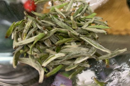 蒸汽煮茶器適合什么茶，蒸汽煮茶器適合用綠茶嗎？