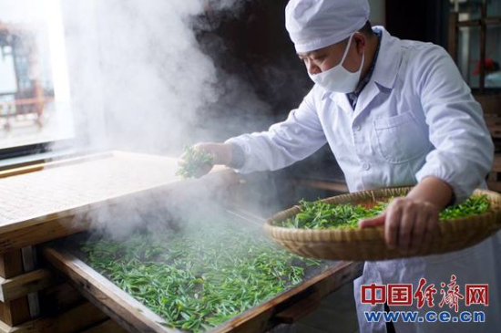 炒青綠茶與綠茶的區(qū)別，烘青和炒青哪個好喝？