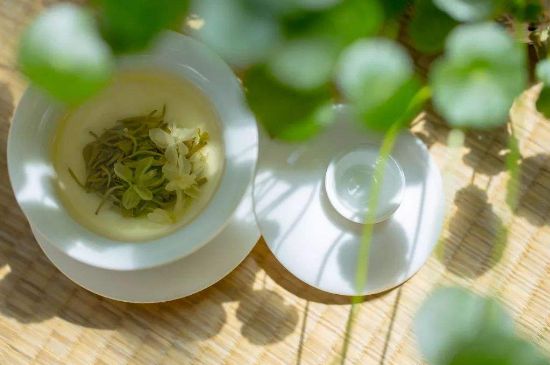 茉莉花茶6種人不要喝，什么體質(zhì)不適合喝茉莉花茶？