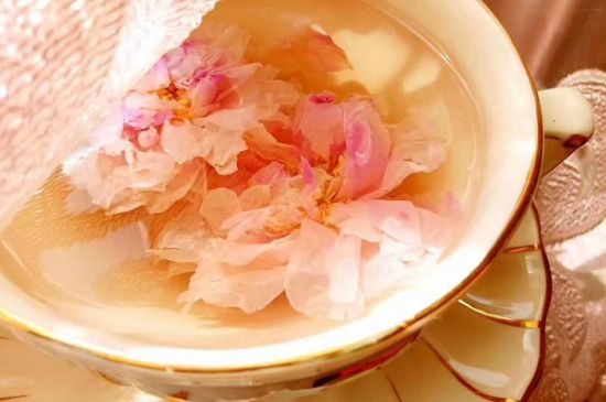 玫瑰花茶一周喝幾次，玫瑰花茶可以天天喝嗎？