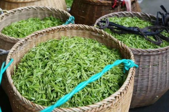 茶葉怎么炒制才香，怎樣炒茶葉更香？