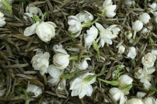 茉莉銀針口感，茉莉銀針是什么味道？