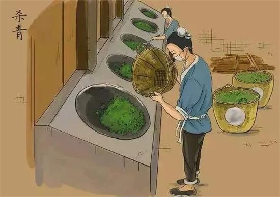 制茶八步驟，制茶工藝流程圖