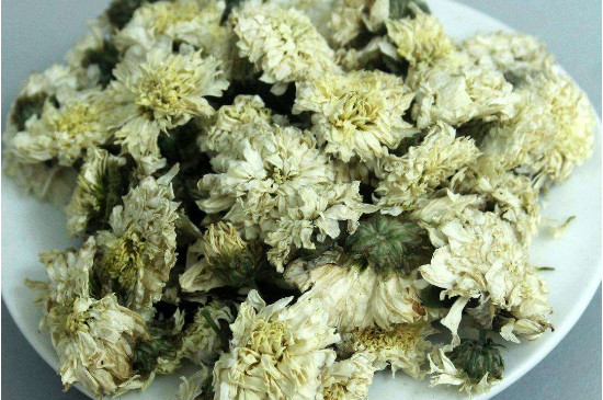 菊花茶買小朵還是大朵，泡茶用的小菊花和大菊花哪個好