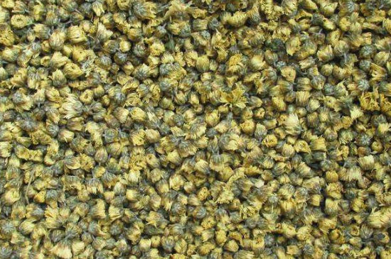 菊花茶大朵小朵有什么區(qū)別，菊花喝大朵還是小朵？