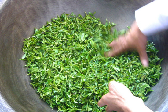 綠茶加工工藝流程圖，綠茶的加工制作包含哪幾個(gè)步驟？