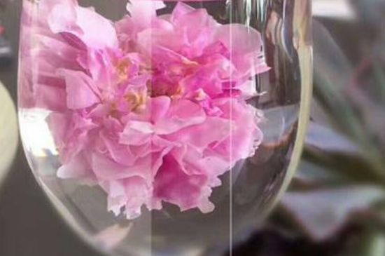 干玫瑰花泡水放幾顆，玫瑰花泡水一次放幾朵？