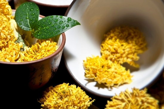 孕婦可以喝菊花茶嗎，菊花對(duì)胎兒有致畸作用？