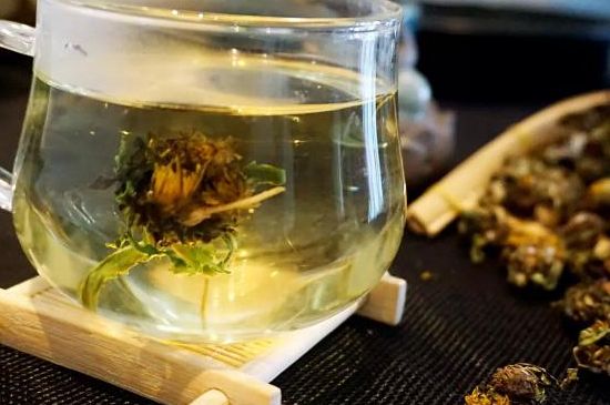 蒲公英最佳搭配，蒲公英茶和什么搭配泡水最佳