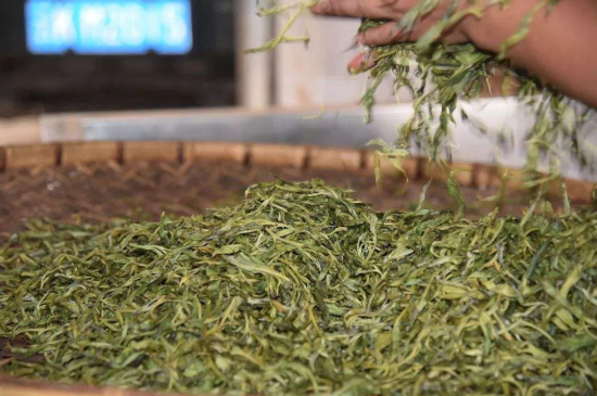 炒青綠茶與綠茶的區(qū)別，烘青和炒青哪個好喝？