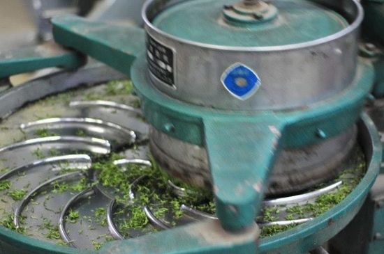 武夷巖茶的初制、精制加工工藝詳細(xì)講解
